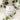 Eucalyptus Apothecary Crush Bath Soak 120g
