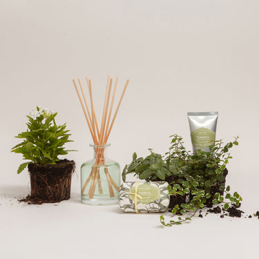 Castelbel Verbena Gift Set