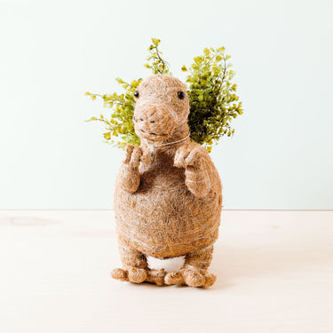 T-Rex Planter